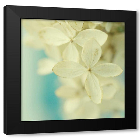 Vanilla Black Modern Wood Framed Art Print by Stalus, Judy