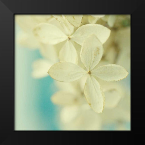 Vanilla Black Modern Wood Framed Art Print by Stalus, Judy