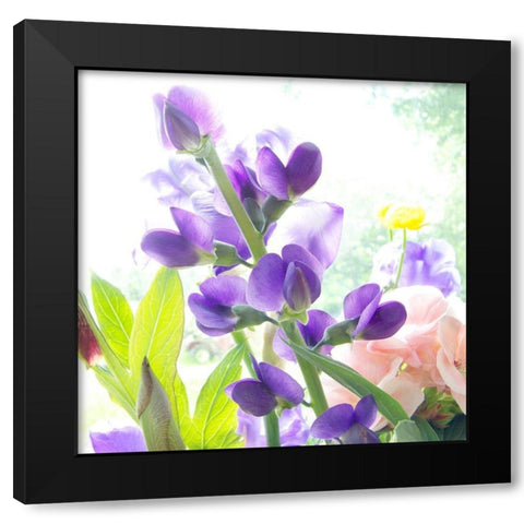 Purple Passion Black Modern Wood Framed Art Print by Stalus, Judy