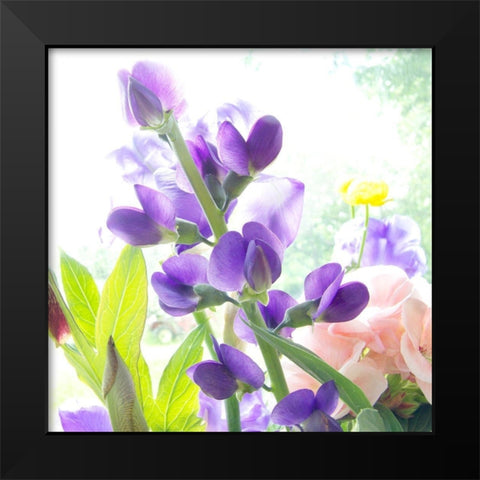 Purple Passion Black Modern Wood Framed Art Print by Stalus, Judy
