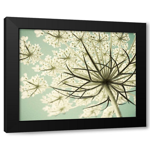 Sky Lace Black Modern Wood Framed Art Print by Stalus, Judy