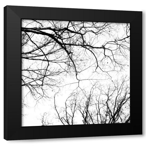 Billows IV Black Modern Wood Framed Art Print with Double Matting by Stalus, Judy