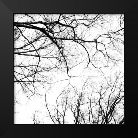 Billows IV Black Modern Wood Framed Art Print by Stalus, Judy