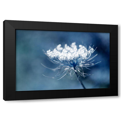 Queen Anne II Black Modern Wood Framed Art Print by Stalus, Judy