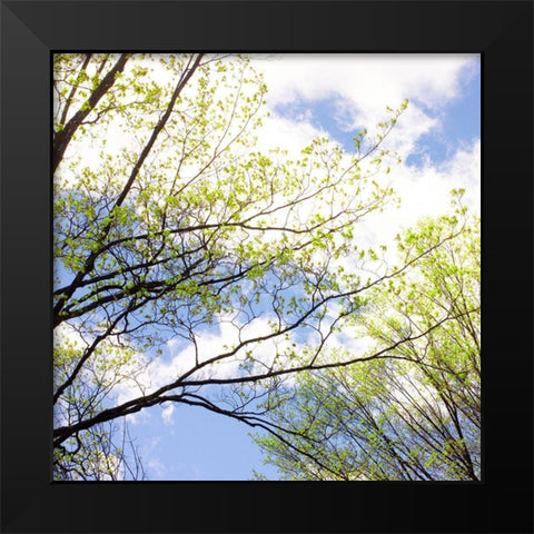 Spring Sky II Black Modern Wood Framed Art Print by Stalus, Judy