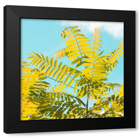 Tropical Breeze I  Black Modern Wood Framed Art Print with Double Matting by Stalus, Judy