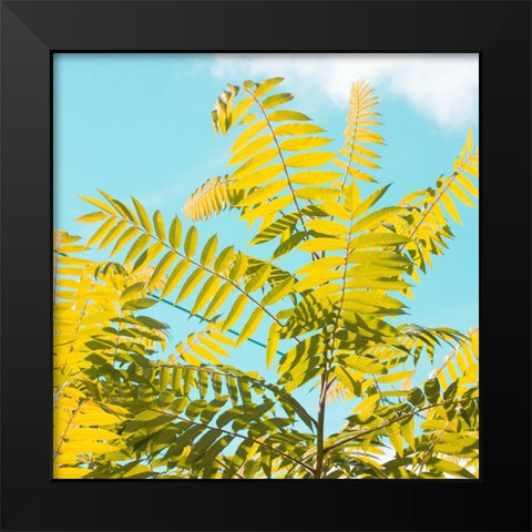 Tropical Breeze I  Black Modern Wood Framed Art Print by Stalus, Judy