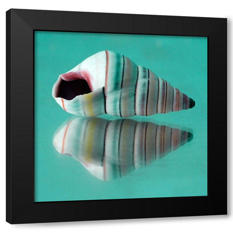 My Shadow I  Black Modern Wood Framed Art Print by Stalus, Judt