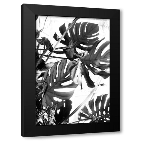 Tropical Leaves IIIÂ  Black Modern Wood Framed Art Print by Stalus, Judy