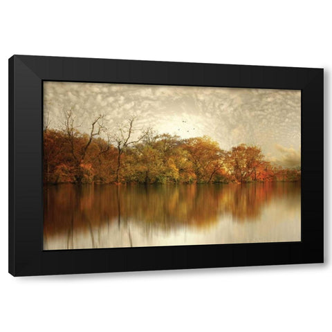 Floating Foliage Black Modern Wood Framed Art Print with Double Matting by Jenney, Jessica