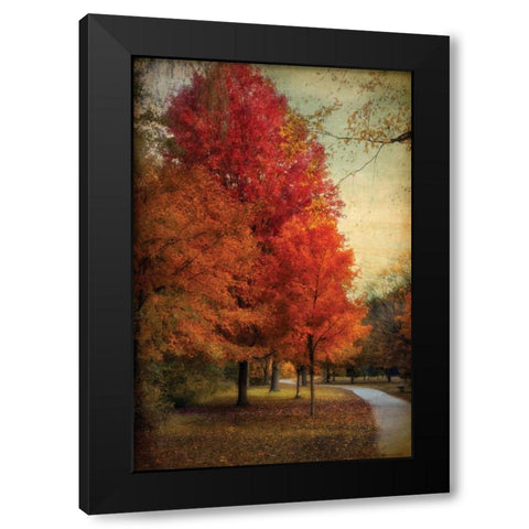Among the Maples Black Modern Wood Framed Art Print by Jenney, Jessica
