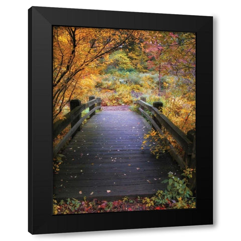 Bridge Over Shallow Water Black Modern Wood Framed Art Print with Double Matting by Jenney, Jessica