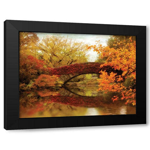 Gapstow Glory Black Modern Wood Framed Art Print by Jenney, Jessica