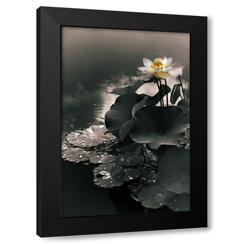Lotus in the Mist Black Modern Wood Framed Art Print with Double Matting by Jenney, Jessica