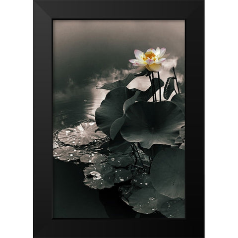 Lotus in the Mist Black Modern Wood Framed Art Print by Jenney, Jessica
