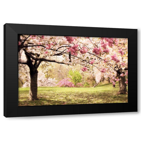 Cherry Hill Black Modern Wood Framed Art Print with Double Matting by Jenney, Jessica