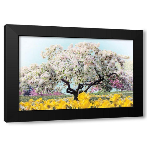 Pastel Park Black Modern Wood Framed Art Print with Double Matting by Jenney, Jessica