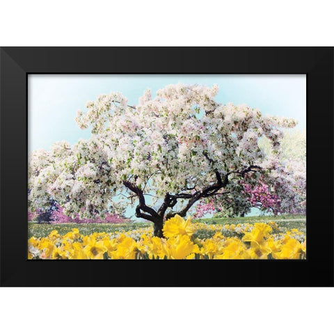 Pastel Park Black Modern Wood Framed Art Print by Jenney, Jessica
