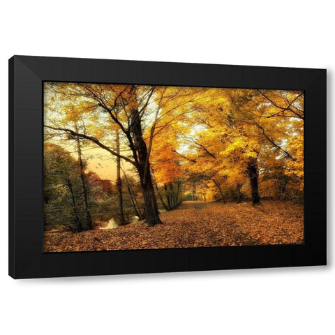 Golden Canopy Black Modern Wood Framed Art Print by Jenney, Jessica