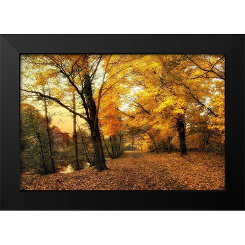 Golden Canopy Black Modern Wood Framed Art Print by Jenney, Jessica
