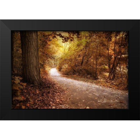 Enlightened Black Modern Wood Framed Art Print by Jenney, Jessica