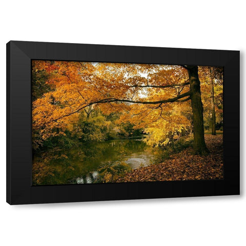 Autumn Gold Black Modern Wood Framed Art Print by Jenney, Jessica