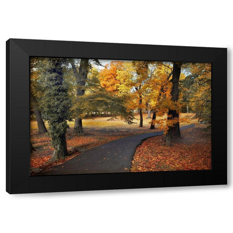 Entrance to Autumn Black Modern Wood Framed Art Print by Jenney, Jessica