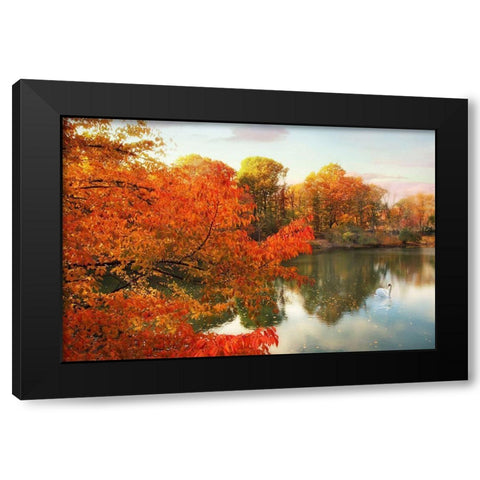 Autumn Splendor Black Modern Wood Framed Art Print with Double Matting by Jenney, Jessica