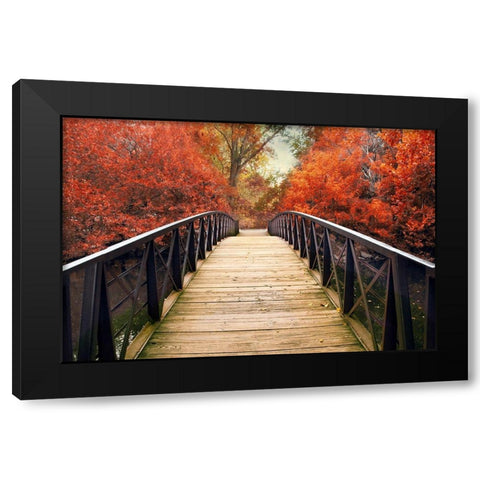 Ardent Autumn  Black Modern Wood Framed Art Print with Double Matting by Jenney, Jessica