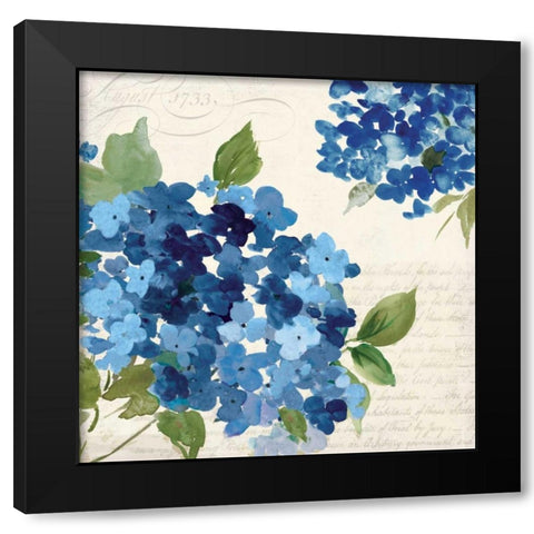 Hampton Hydrangea I Black Modern Wood Framed Art Print with Double Matting by Jensen, Asia