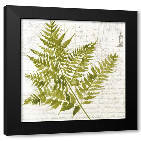 Fern I Black Modern Wood Framed Art Print with Double Matting by Jensen, Asia