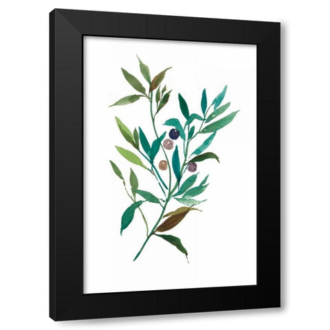 Olive I Black Modern Wood Framed Art Print with Double Matting by Jensen, Asia