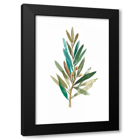 Olive III Black Modern Wood Framed Art Print with Double Matting by Jensen, Asia