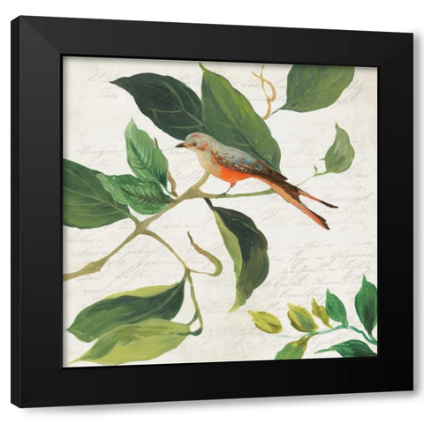 Singing Bird I Black Modern Wood Framed Art Print by Jensen, Asia