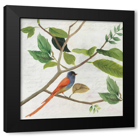 Singing Bird II Black Modern Wood Framed Art Print by Jensen, Asia