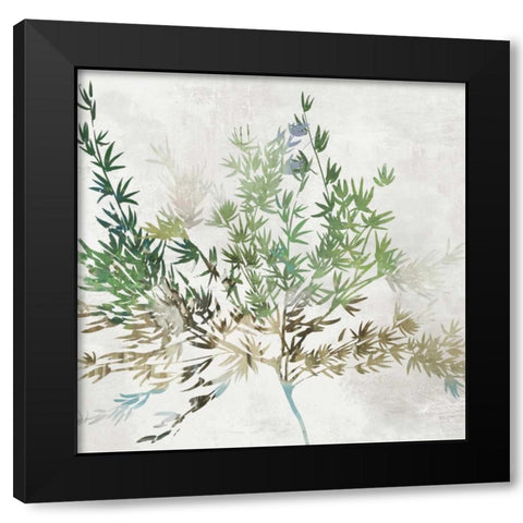 Olive Branch Black Modern Wood Framed Art Print with Double Matting by Jensen, Asia