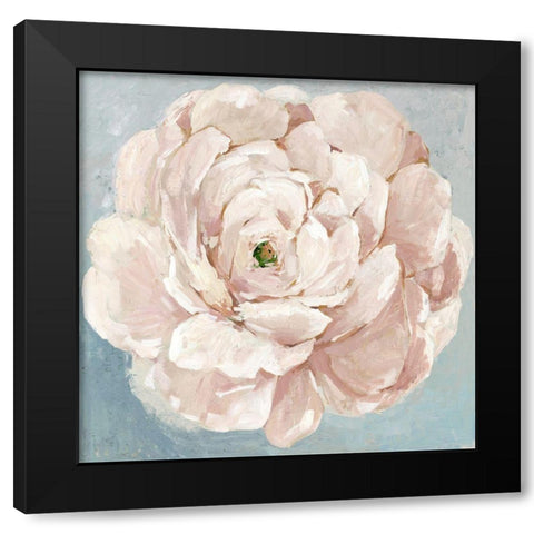 Pink Flower  Black Modern Wood Framed Art Print with Double Matting by Jensen, Asia