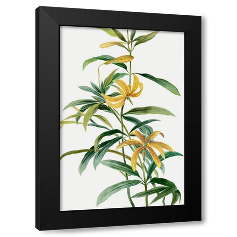 Yellow Tropical Flowers I  Black Modern Wood Framed Art Print with Double Matting by Jensen, Asia