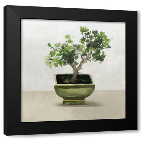 Bonsai Tree I  Black Modern Wood Framed Art Print with Double Matting by Jensen, Asia