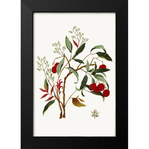 New Botana II  Black Modern Wood Framed Art Print by Jensen, Asia