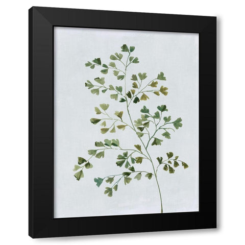 Green Fern II  Black Modern Wood Framed Art Print with Double Matting by Jensen, Asia