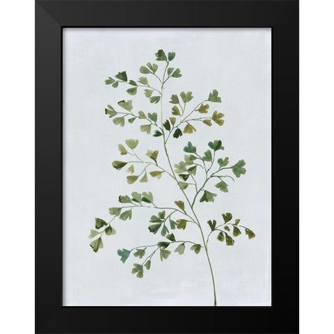 Green Fern II  Black Modern Wood Framed Art Print by Jensen, Asia