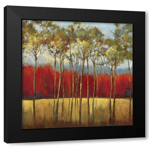 In the Horizon I Black Modern Wood Framed Art Print with Double Matting by Jensen, Asia