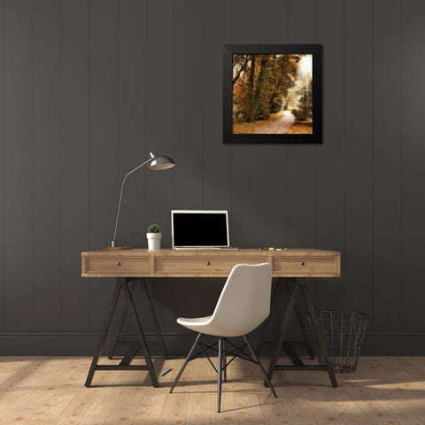 Forest Light Black Modern Wood Framed Art Print by Jenney, Jessica