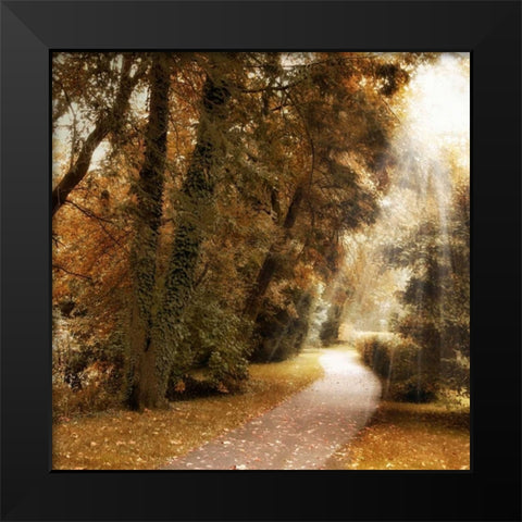 Forest Light Black Modern Wood Framed Art Print by Jenney, Jessica