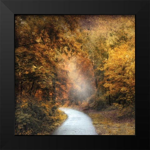 October Trail Black Modern Wood Framed Art Print by Jenney, Jessica