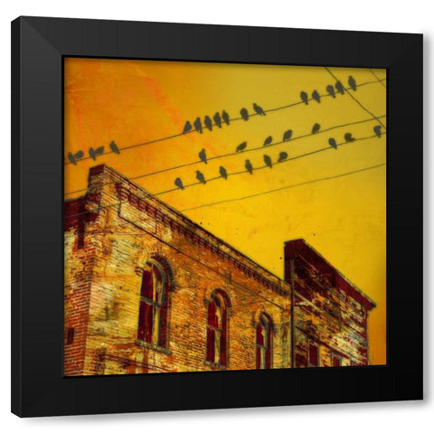Birds on a Wire I Black Modern Wood Framed Art Print with Double Matting by McMasters, James