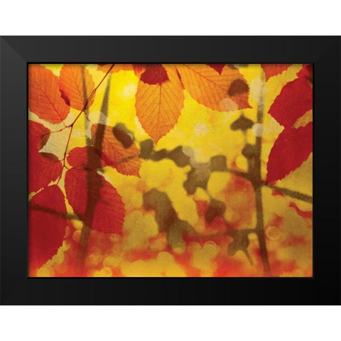 Golden Foliage Black Modern Wood Framed Art Print by McMasters, James