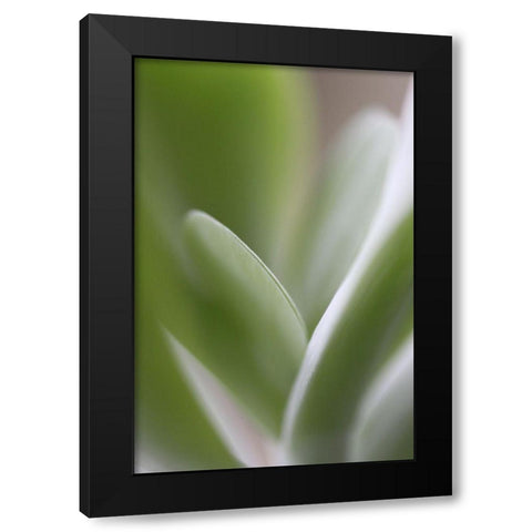 Flow Black Modern Wood Framed Art Print by JUSTART