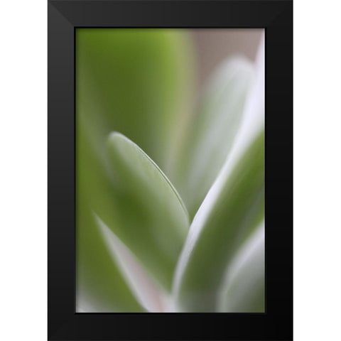 Flow Black Modern Wood Framed Art Print by JUSTART